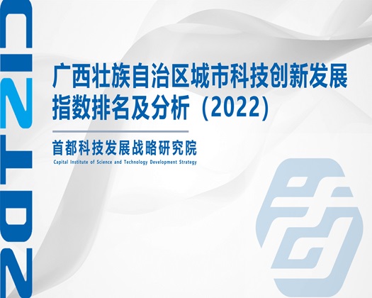 逼爱插影城【成果发布】广西壮族自治区城市科技创新发展指数排名及分析（2022）